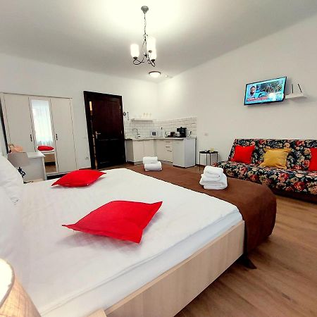 Casa Roth Apartment Брашов Екстериор снимка