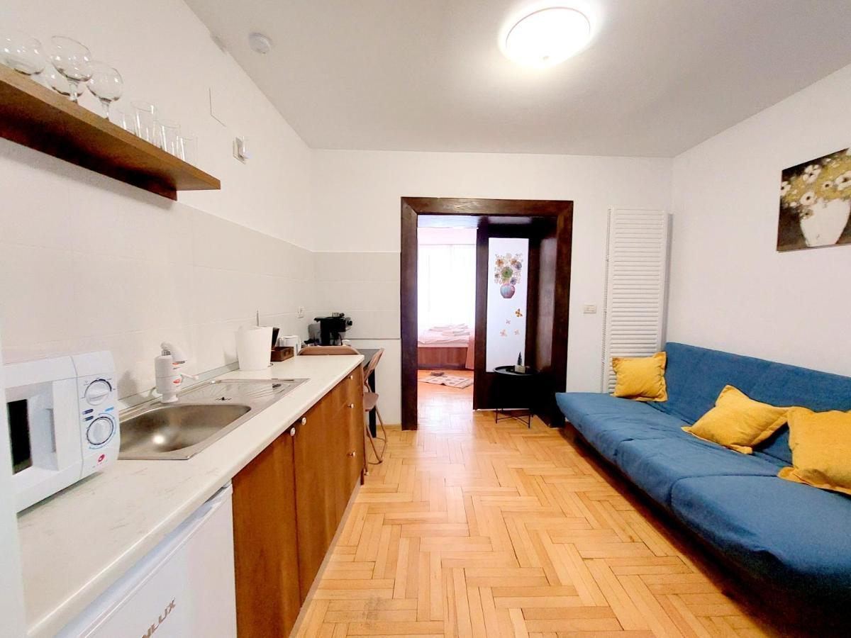 Casa Roth Apartment Брашов Екстериор снимка