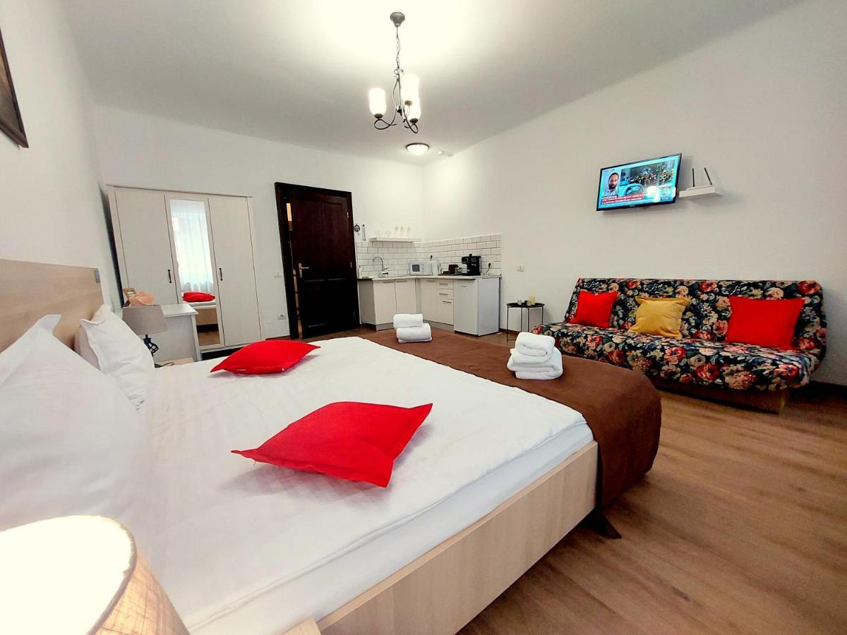 Casa Roth Apartment Брашов Екстериор снимка