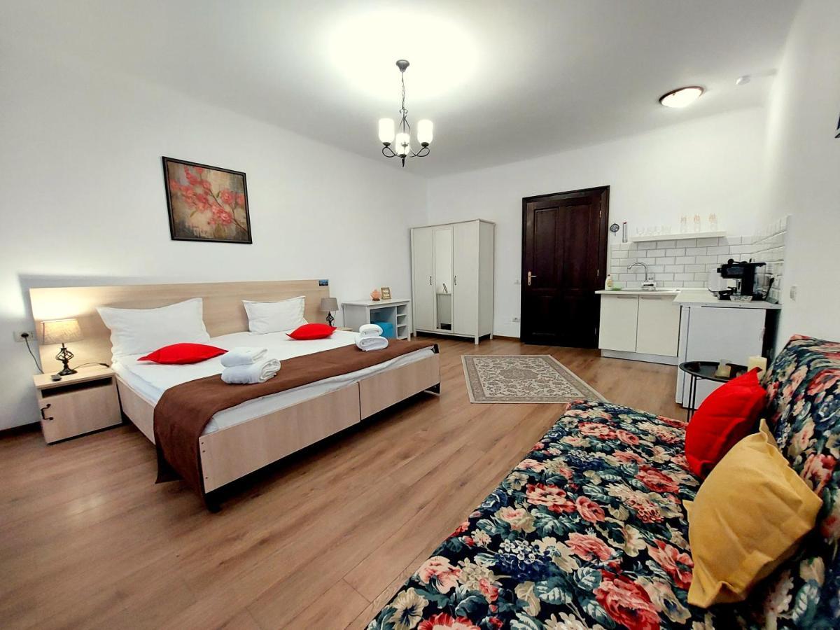 Casa Roth Apartment Брашов Екстериор снимка
